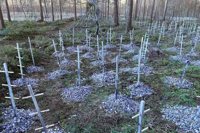 Tag der Wälder 2026: Im Kollekturwald wächst Zukunft – fünfter Umsetzungsabschnitt abgeschlossen