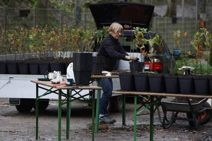Pflanzaktion im Waldpädagogischen Zentrum Bottrop Pflanzaktion im Waldpädagogischen Zentrum Bottrop