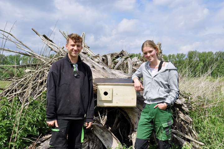 Auch am Agenturstandort NRW bauten unsere FÖJ'ler (Philipp Brinkert und Svenja Lohaus) mehrere Wiedehopf-Nisthilfen