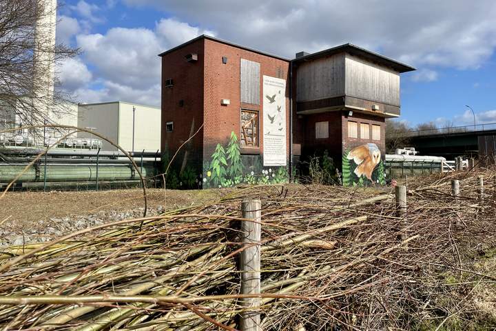 Gemeinsame Pflegeaktion am Artenschutzhaus Hassel Gemeinsame Pflegeaktion am Artenschutzhaus Hassel