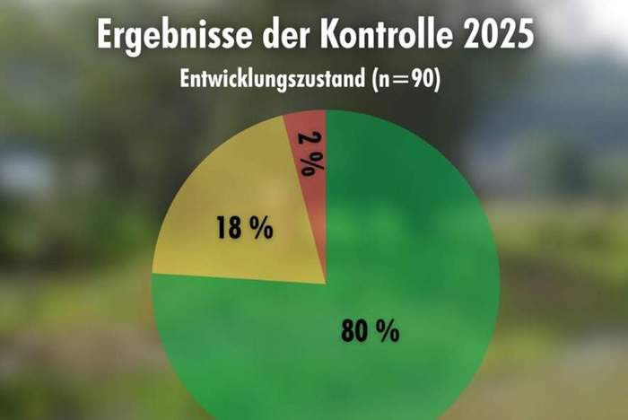 Erfolgreiche Entwicklungszielkontrolle 2025