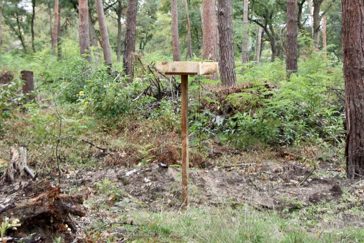 So sieht einer der sechs neuen Hähertische im Kollekturwald aus