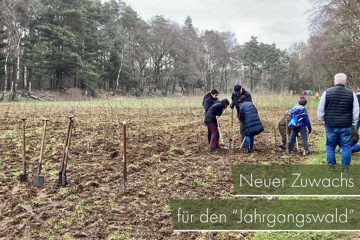 Junge Helfer*innen pflanzen „Jahrgangswald“ auf Bottroper Ersatzaufforstungsfläche