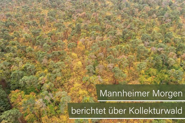 Kooperation mit Deutscher Bahn: Ökologische Ausgleichsmaßnahmen für ICE-Neubaustrecke