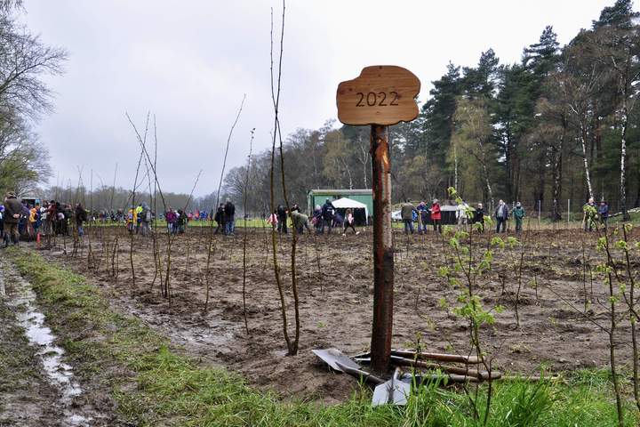 Unsere für den "Jahrgangswald 2022" bereitgestellte Ersatzaufforstungsfläche in Bottrop