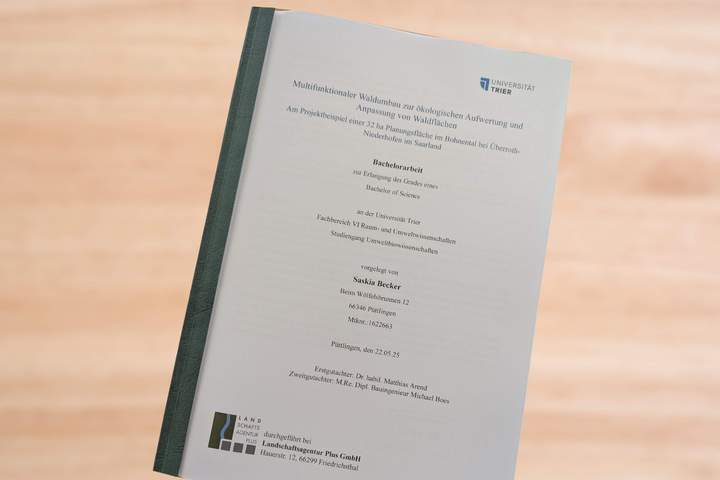 Titelblatt Bachelorarbeit zu ökologischem Waldumbau von Saskia Becker Titelblatt Bachelorarbeit zu ökologischem Waldumbau von Saskia Becker