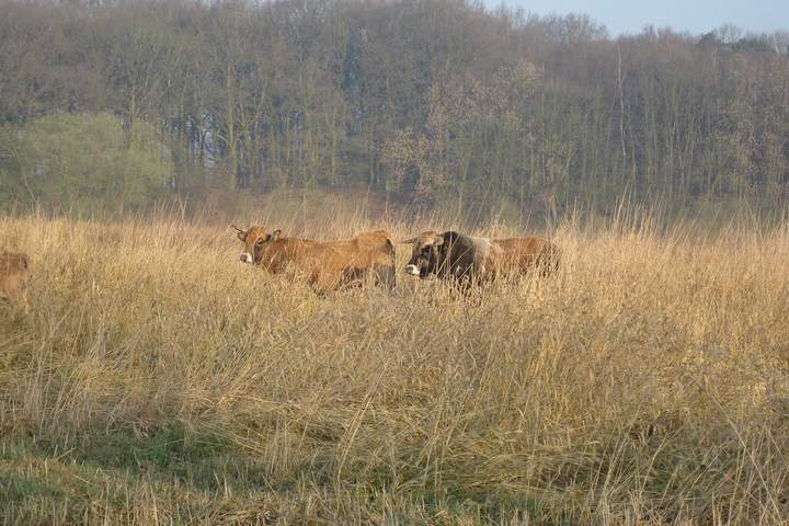 2Stromland 2Stromland