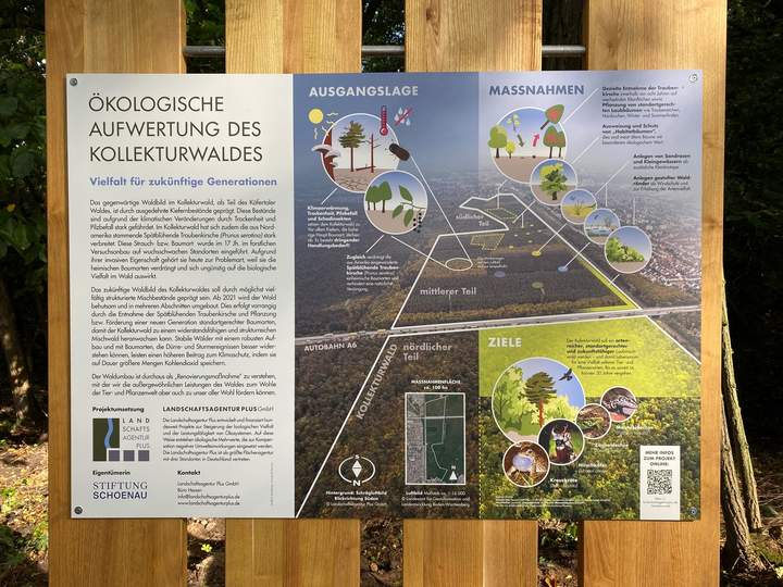 Informationsschild Kollekturwald