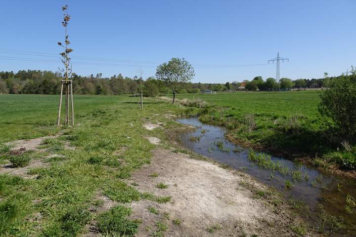 Ökokonto "In der Hohl - Grünlandextensivierung Erbach-Reiskirchen"
